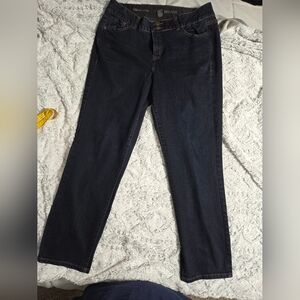 Lane Bryant Dark Blue Skinny Jeans